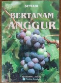 Bertanam Anggur